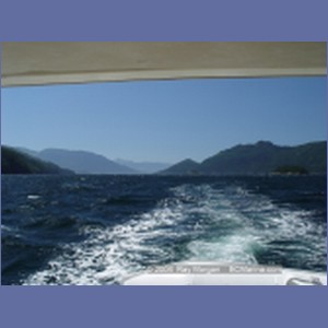 2003_4934_Johnstone_Strait_Gale.JPG