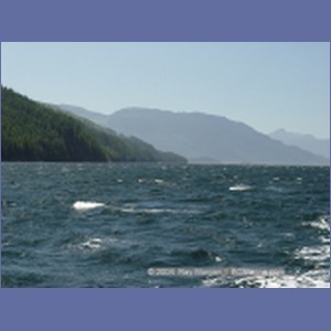 2003_4936_Johnstone_Strait_Gale.JPG