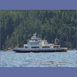 2004_6250_Johnstone_Strait.JPG