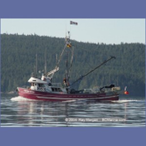 2004_6255_Johnstone_Strait.JPG
