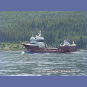2004_6261_Johnstone_Strait.JPG