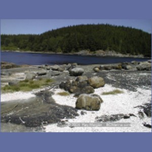 2000_039_Karlukwees.jpg