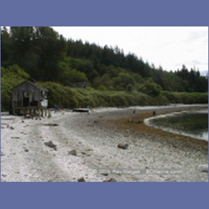 2001_022_Karlukwees.jpg