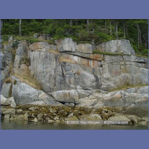 2003_4860_Karlukwees_Turnour_Island.JPG