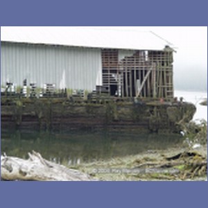 2003_4868_Karlukwees_Turnour_Island.JPG