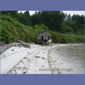 2003_4870_Karlukwees_Turnour_Island.JPG
