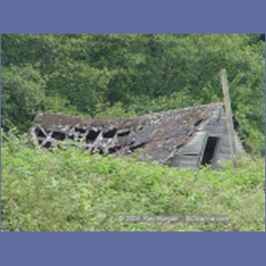2003_4873_Karlukwees_Turnour_Island.JPG