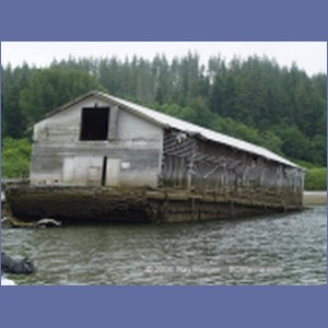 2003_4874_Karlukwees_Turnour_Island.JPG