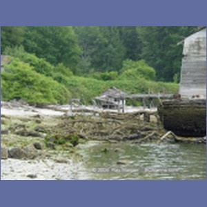 2003_4875_Karlukwees_Turnour_Island.JPG