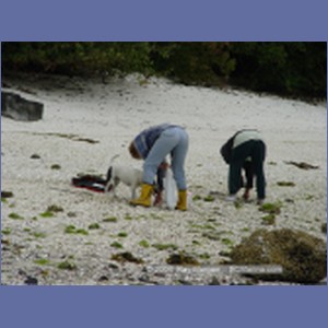 2003_4878_Karlukwees_Turnour_Island.JPG