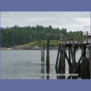 2003_4880_Karlukwees_Turnour_Island.JPG