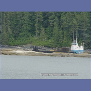 2003_4882_Karlukwees_Turnour_Island.JPG