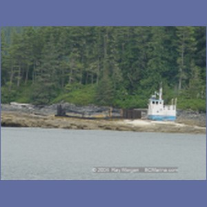 2003_4883_Karlukwees_Turnour_Island.JPG