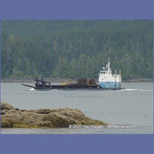 2003_4886_Karlukwees_Turnour_Island.JPG