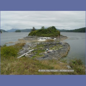 2003_4890_Karlukwees_Turnour_Island.JPG