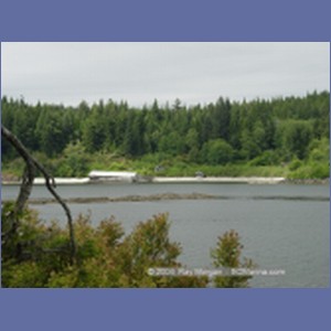 2003_4892_Karlukwees_Turnour_Island.JPG