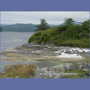 2003_4893_Karlukwees_Turnour_Island.JPG