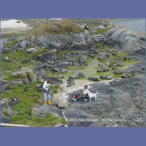 2003_4894_Karlukwees_Turnour_Island.JPG