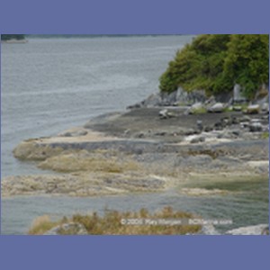 2003_4895_Karlukwees_Turnour_Island.JPG