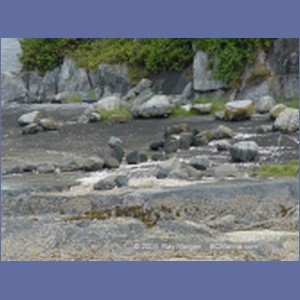 2003_4896_Karlukwees_Turnour_Island.JPG