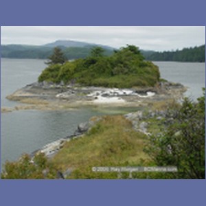 2003_4902_Karlukwees_Turnour_Island.JPG