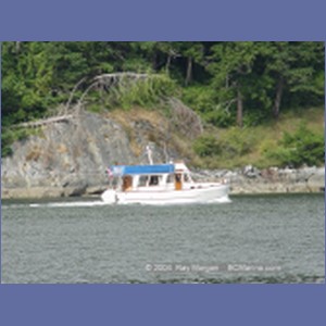 2003_4904_Karlukwees_Turnour_Island.JPG
