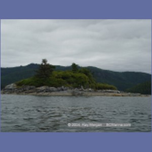 2003_4905_Karlukwees_Turnour_Island.JPG