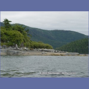2003_4906_Karlukwees_Turnour_Island.JPG