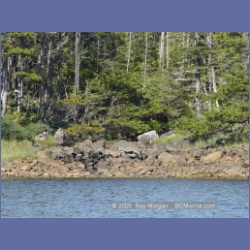 2005_2202_Kettle_Inlet_Aristazabal_Island.html