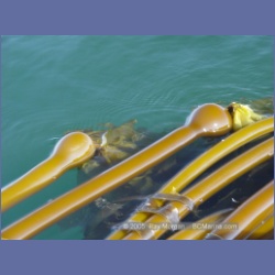 2005_2203_Kettle_Inlet_Aristazabal_Island.html