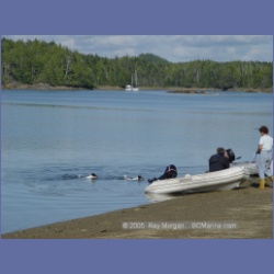 2005_2217_Kettle_Inlet_Aristazabal_Island.html