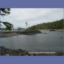 2005_2227_Kettle_Inlet_Aristazabal_Island.html