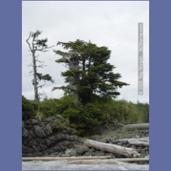 2005_2235_Kettle_Inlet_Aristazabal_Island.html