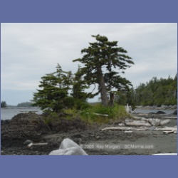 2005_2236_Kettle_Inlet_Aristazabal_Island.html