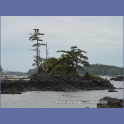 2005_2240_Kettle_Inlet_Aristazabal_Island.html