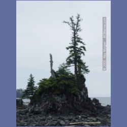 2005_2244_Kettle_Inlet_Aristazabal_Island.html