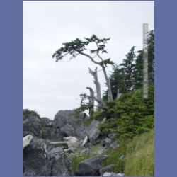 2005_2245_Kettle_Inlet_Aristazabal_Island.html