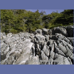2001_100_Kildidt_Sound.html