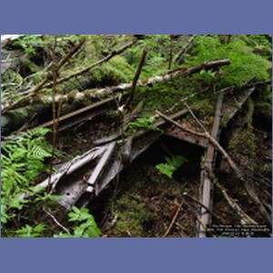 2006_1746_Kimshan_Cove_Alaska.JPG