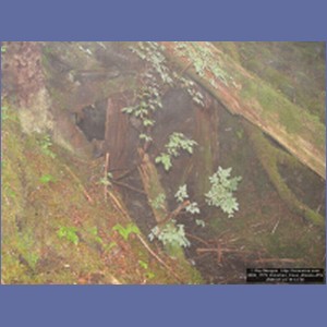 2006_1779_Kimshan_Cove_Alaska.JPG
