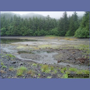 2006_1788_Kimshan_Cove_Alaska.JPG