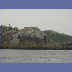 2005_1916_Kingkown_Inlet_Banks_Island.html