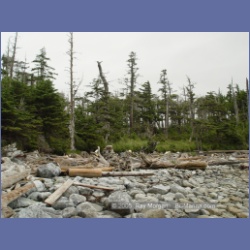 2005_1924_Kingkown_Inlet_Banks_Island.html