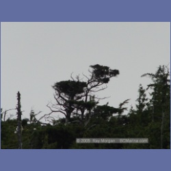 2005_1930_Kingkown_Inlet_Banks_Island.html