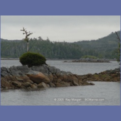 2005_1936_Kingkown_Inlet_Banks_Island.html