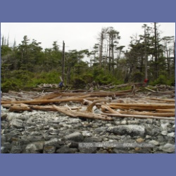 2005_1948_Kingkown_Inlet_Banks_Island.html