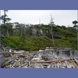 2005_1950_Kingkown_Inlet_Banks_Island.html