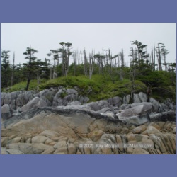 2005_1955_Kingkown_Inlet_Banks_Island.html