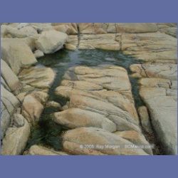 2005_1959_Kingkown_Inlet_Banks_Island.html