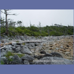 2005_1963_Kingkown_Inlet_Banks_Island.html